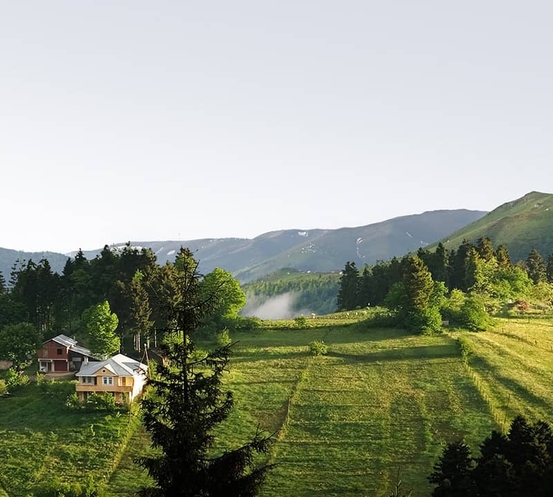 Türkiye's Environmentally Friendly Projects