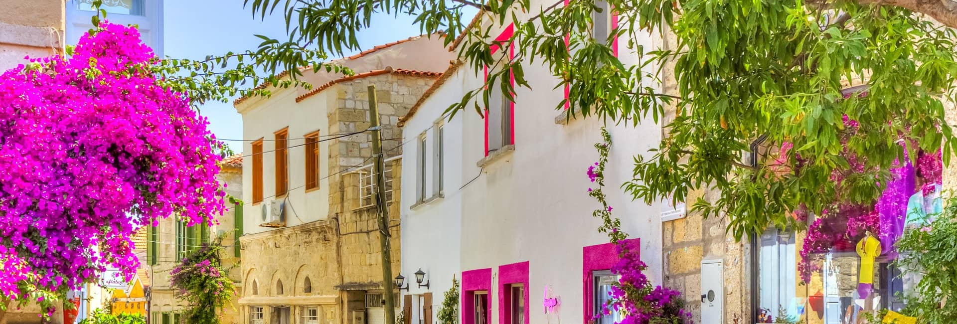 Turkaegean Flavors: Gastro Cities Unveiled