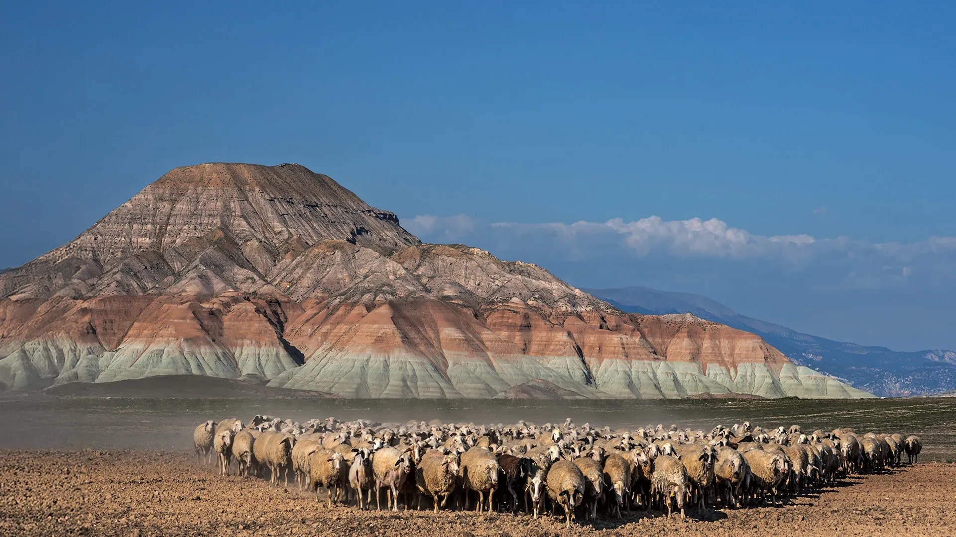 Traces of the Silk Road: A 3-Day Journey Through the Heart of Anatolia