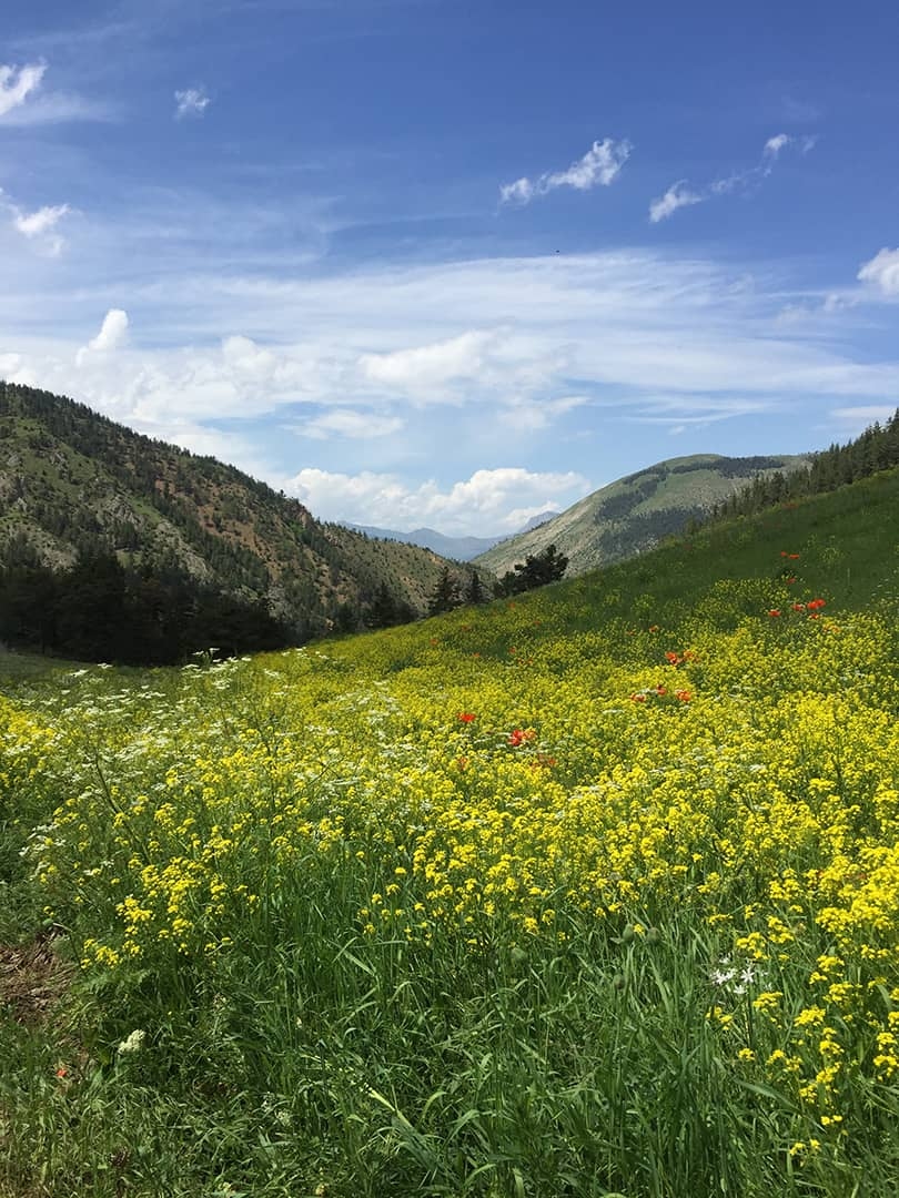 Uzundere Kapadokya Mutfağı