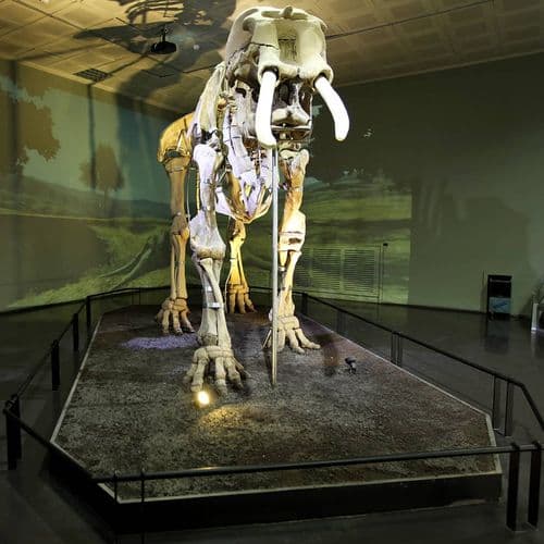 Archaeological Museum