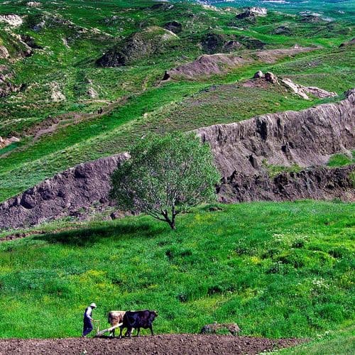 The Trail of Noah’s Ark