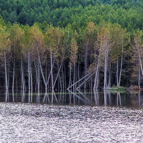 El Parque natural de Akdoğan
