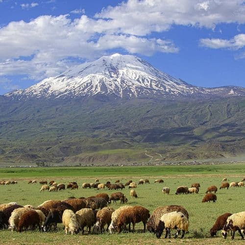 Der Berg Ararat
