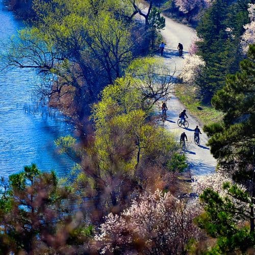 Cycling Lake Eymir