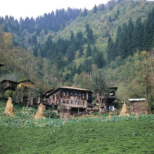 Artvin Houses