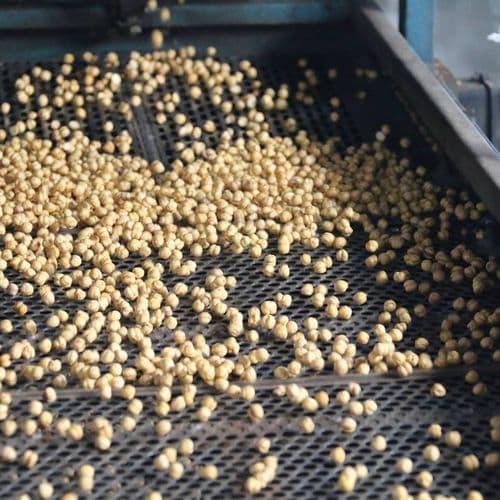 Serinhisar Chickpeas