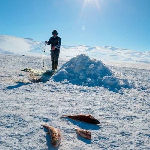 Lac Çıldır, Ardahan