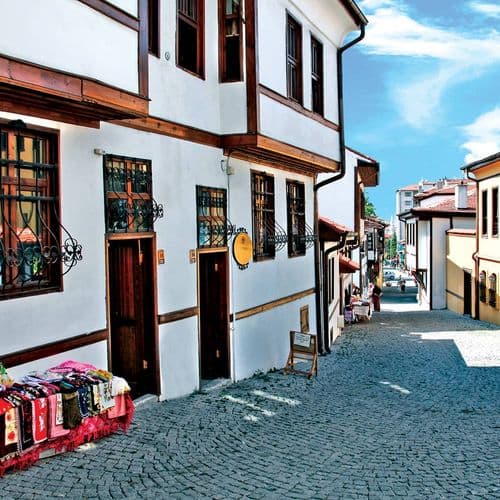 Odunpazarı District