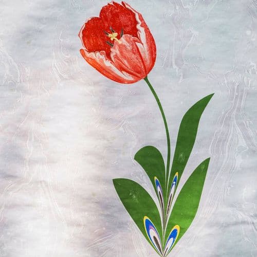 Ebru The Art Paper Marbling