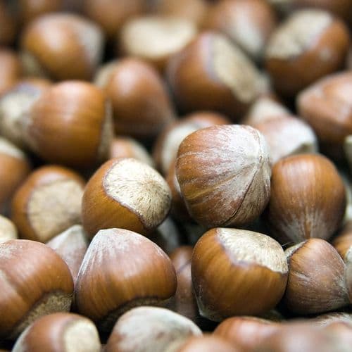 Hazelnuts