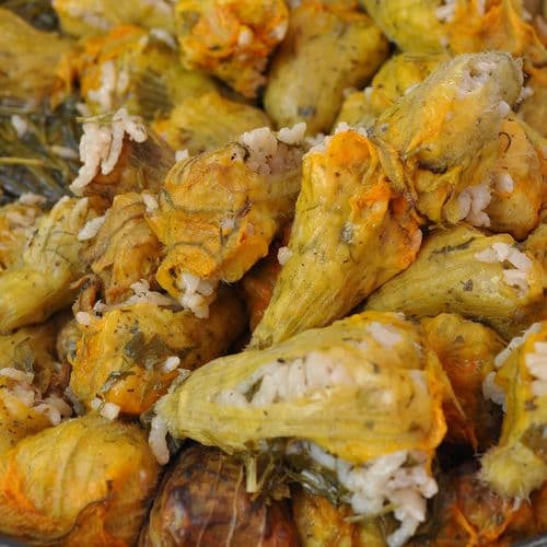 Zucchini Flowers
