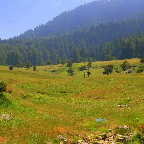 Високогірне пасовище Башконуш/Başkonuş