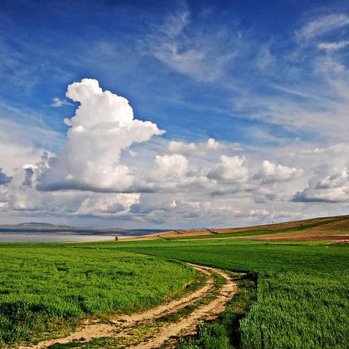 دریاچه توزلا