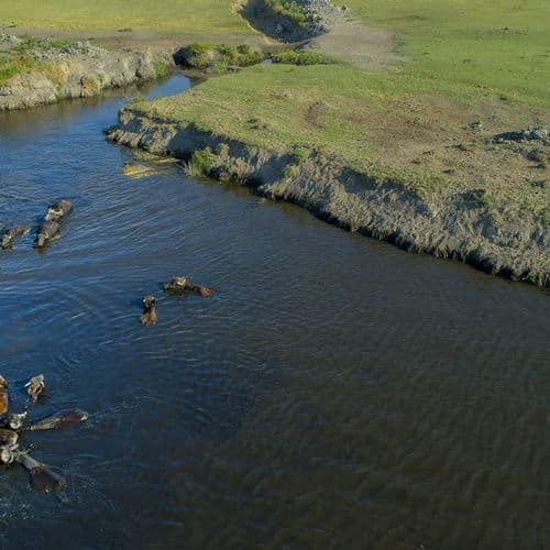 Marais de Hürmetçi