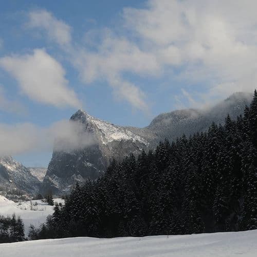 Küre Mountains National Park