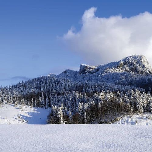 Küre Mountains National Park
