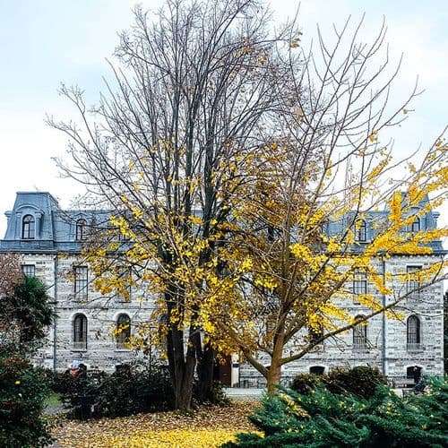 Університет Богазічі (Bogaziçi Üniversitesi)