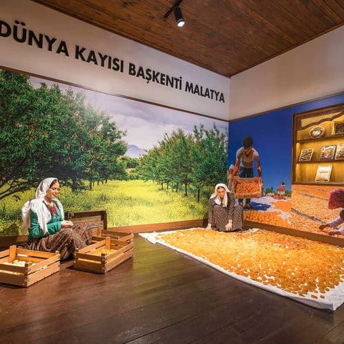 Malatya Culture House