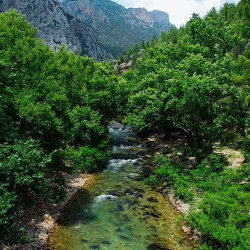 Taurus（托罗斯）山