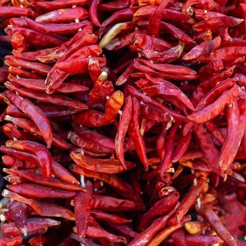 فلفل قرمز غازی‌عنتاب