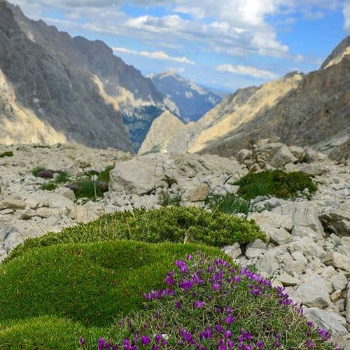 Mont Aladağlar Niğde