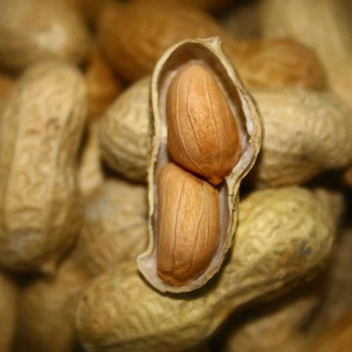 Osmaniye Peanuts