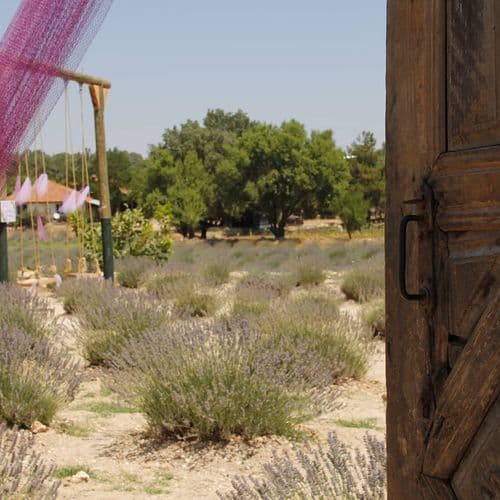Pamukkale Lavender Gardens