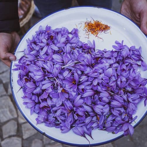 Saffron