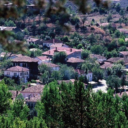 Model Taraklı Houses