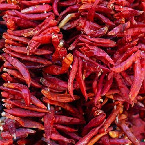 Kırmızı Biber