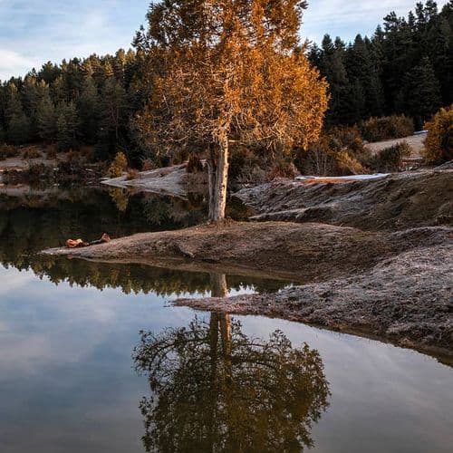 كاراجول–صقاريا 