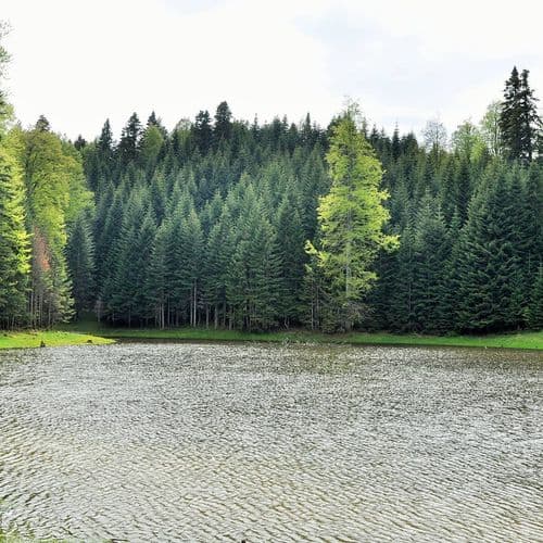 Torkul Plateau and Pond