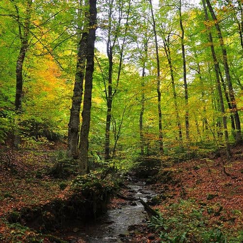 Seven Lakes National Park