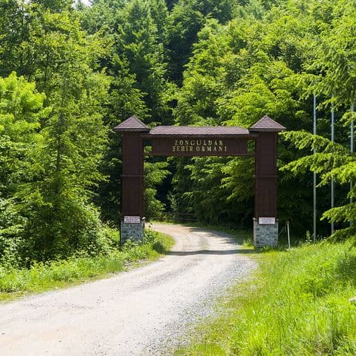 Zonguldak Urban Forest