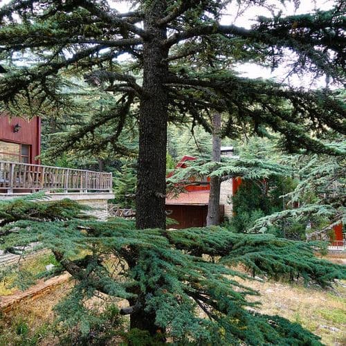 Kızıldağ Nature Park