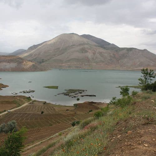 الجزر العائمة