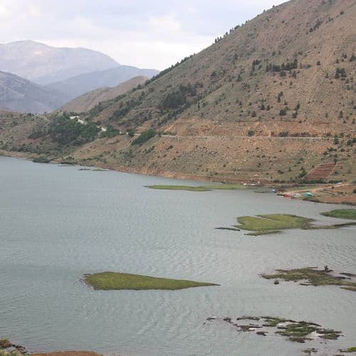 الجزر العائمة