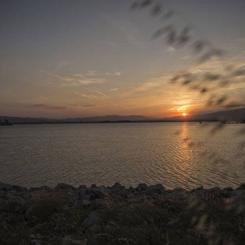 Yedikuğular Kuş Cenneti/Vogelparadies (Yedikır Baraj Gölü/Stausee)