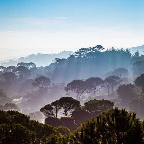 Ancient Latmos Rocks