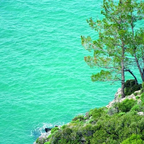 Parc national de la péninsule de Dilek