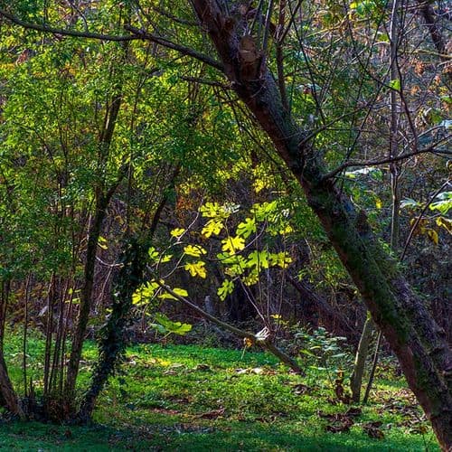 National Park of Kuşcenneti Bird Paradise