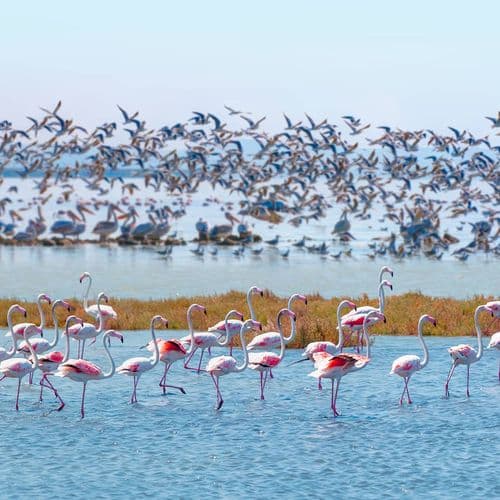 National Park of Kuşcenneti Bird Paradise