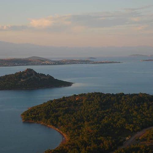 Şeytan Sofrası / Devils Feast