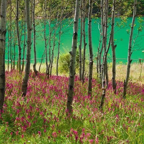 Річка та долина Чорух