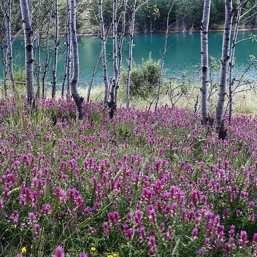 Річка та долина Чорух