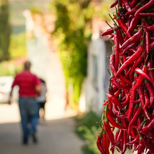 Çukurören Red Pepper