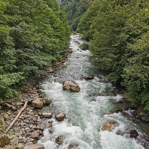 Річка Фіртина, Різе (Fırtına Deresi, Rize)