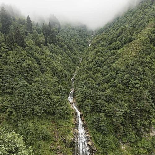 Плато Айдер, Різе (Ayder Platosu, Rize)