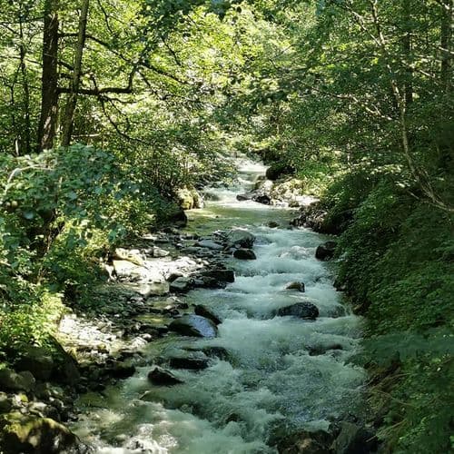 Fırtına Fluss Rize